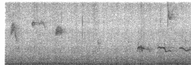 Sinsonte Norteño - ML496916171