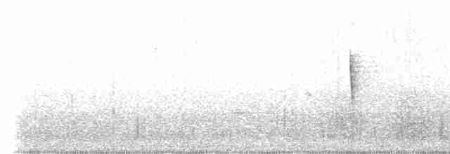 Kentucky Warbler - ML496999141