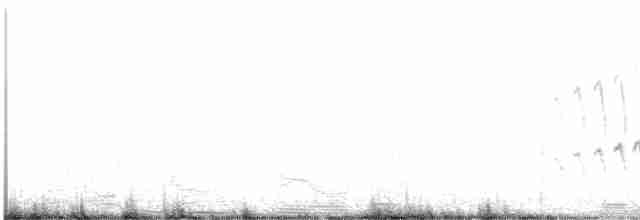 Strichelrückencanastero (Rötelflügelcanastero) - ML497020271