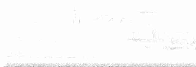 Colibri géant - ML497049711