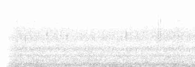 Светлокрылая трясохвостка - ML497092471