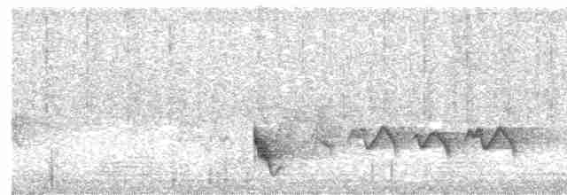 Swallow-tailed Manakin - ML497115611