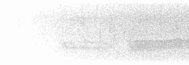 Канадская овсянка-барсучок (nelsoni/altera) - ML497125281