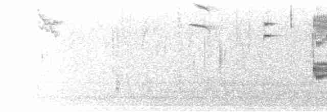 vlhovec člunoocasý (ssp. torreyi/alabamensis) - ML497128351
