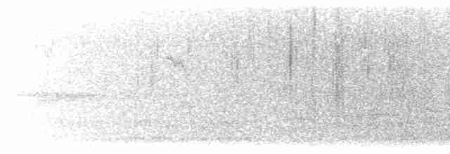 Острохвостая овсянка-барсучок - ML497155561
