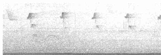Weißbart-Schattenkolibri - ML497173611