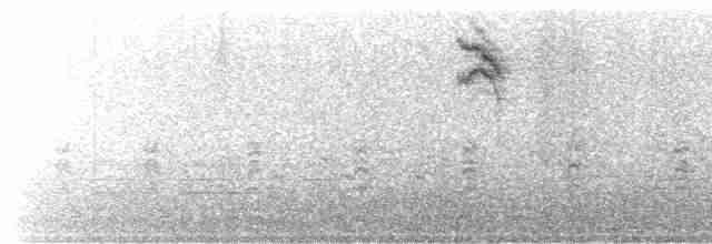 Приморская овсянка-барсучок (maritima/macgillivraii) - ML497185101