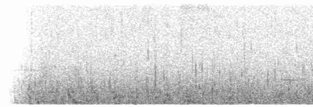 Усатая пизарита-инка - ML497189901