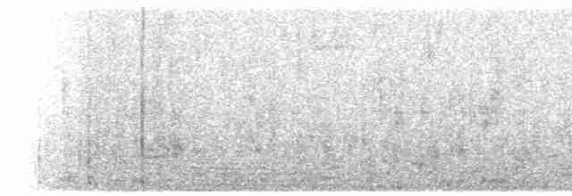 Mirlo Acuático Coroniblanco - ML497196611