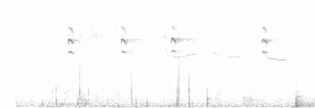 Broad-tailed Grassbird - ML497256511
