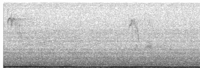 Black-capped Chickadee - ML497351301