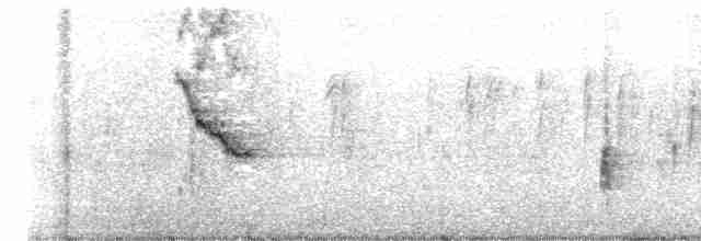 Carouge à épaulettes (californicus/mailliardorum) - ML497370841