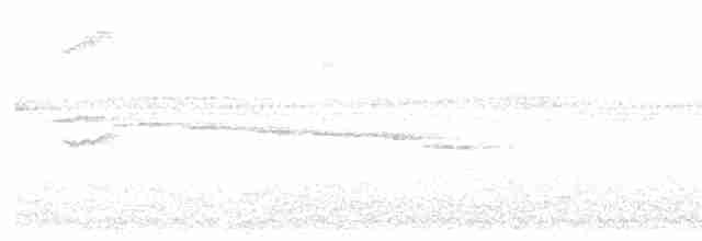 Anabate de Lichtenstein - ML497406061