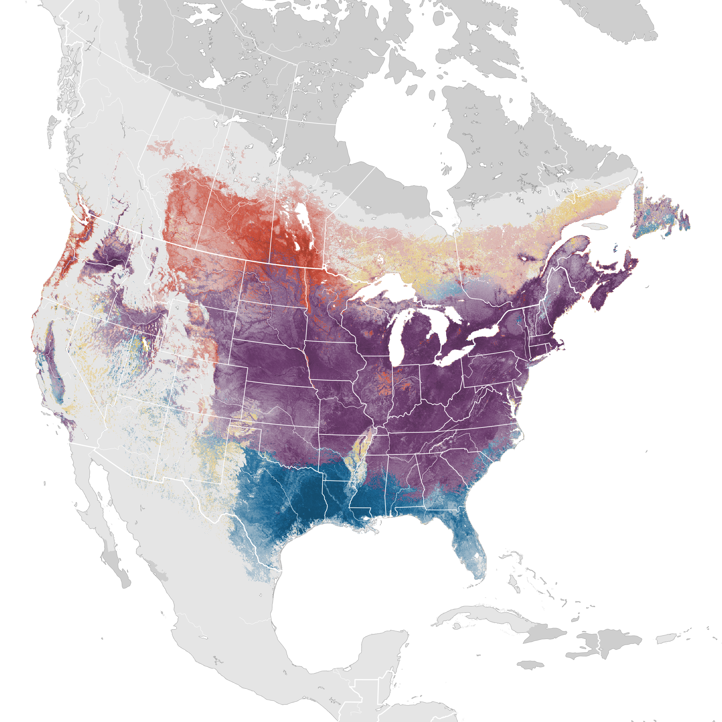 American Goldfinches: Abundance and Migration Patterns