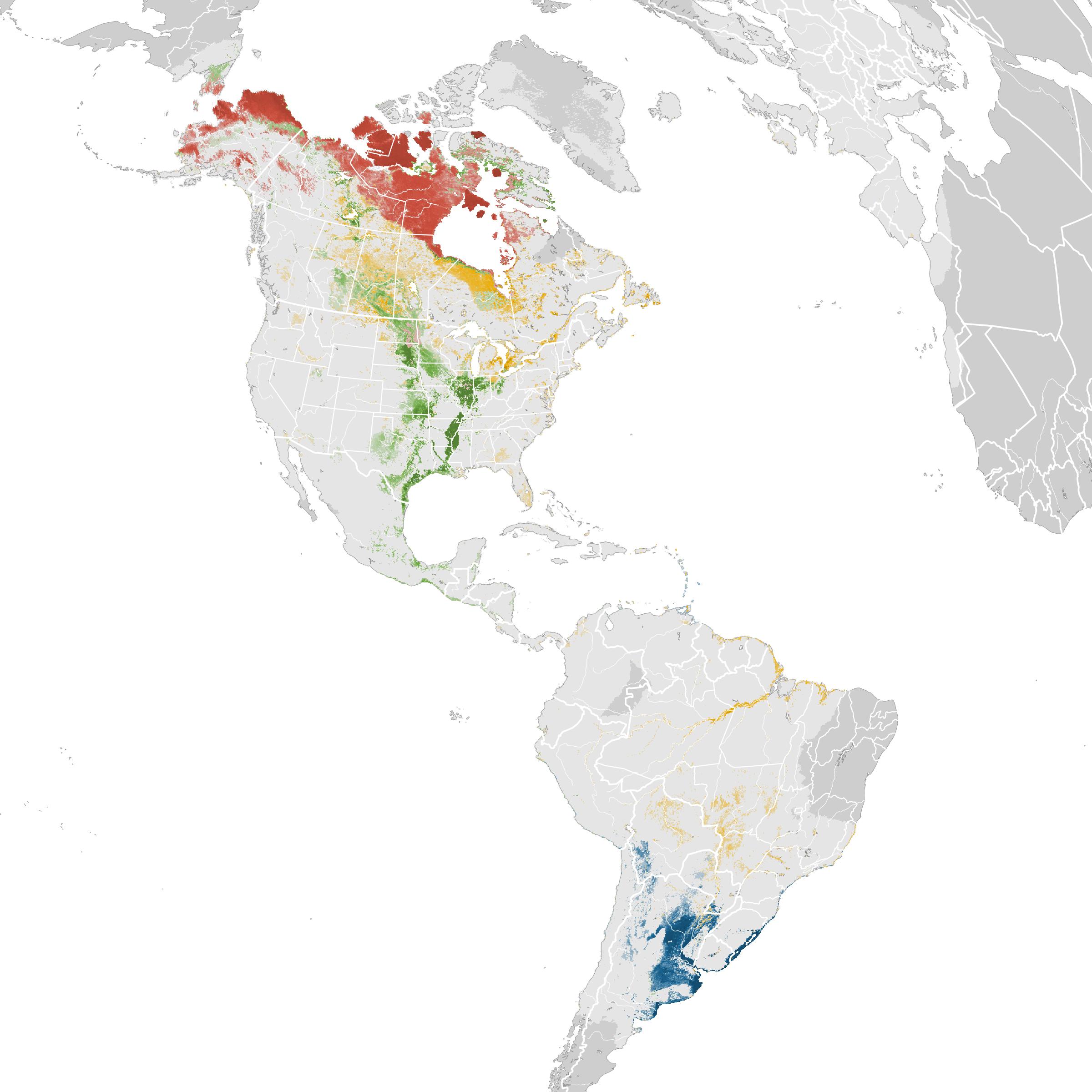 american golden plover migration map