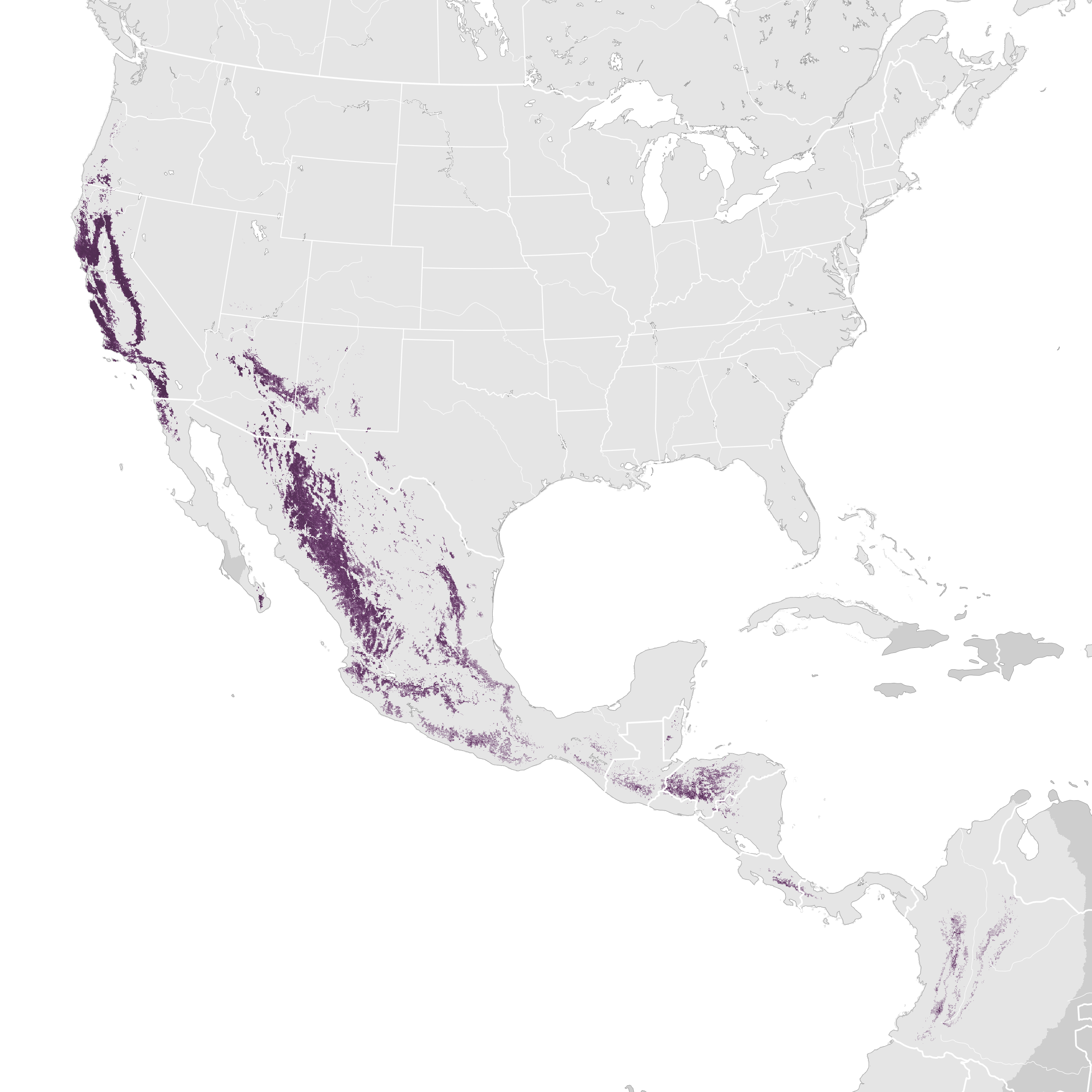 Acorn Woodpecker Range