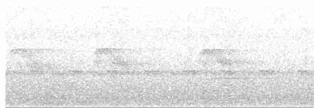 Белокрылый бекард - ML497515261