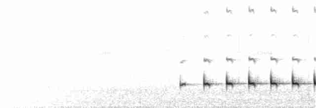 Olivscheitel-Bandvogel - ML49755141