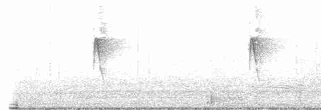 Коричневогорлая нектарница - ML497619871