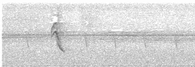 Sonnerat Yaprakkuşu - ML497620171