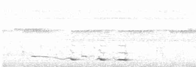 Kara Boğazlı Çalı Timalyası - ML497621701