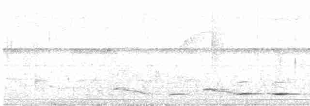 Kara Boğazlı Çalı Timalyası - ML497621711