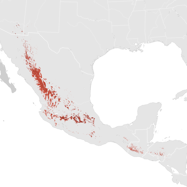 Mapa abundance