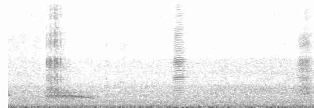 Snowy Egret - ML49766041