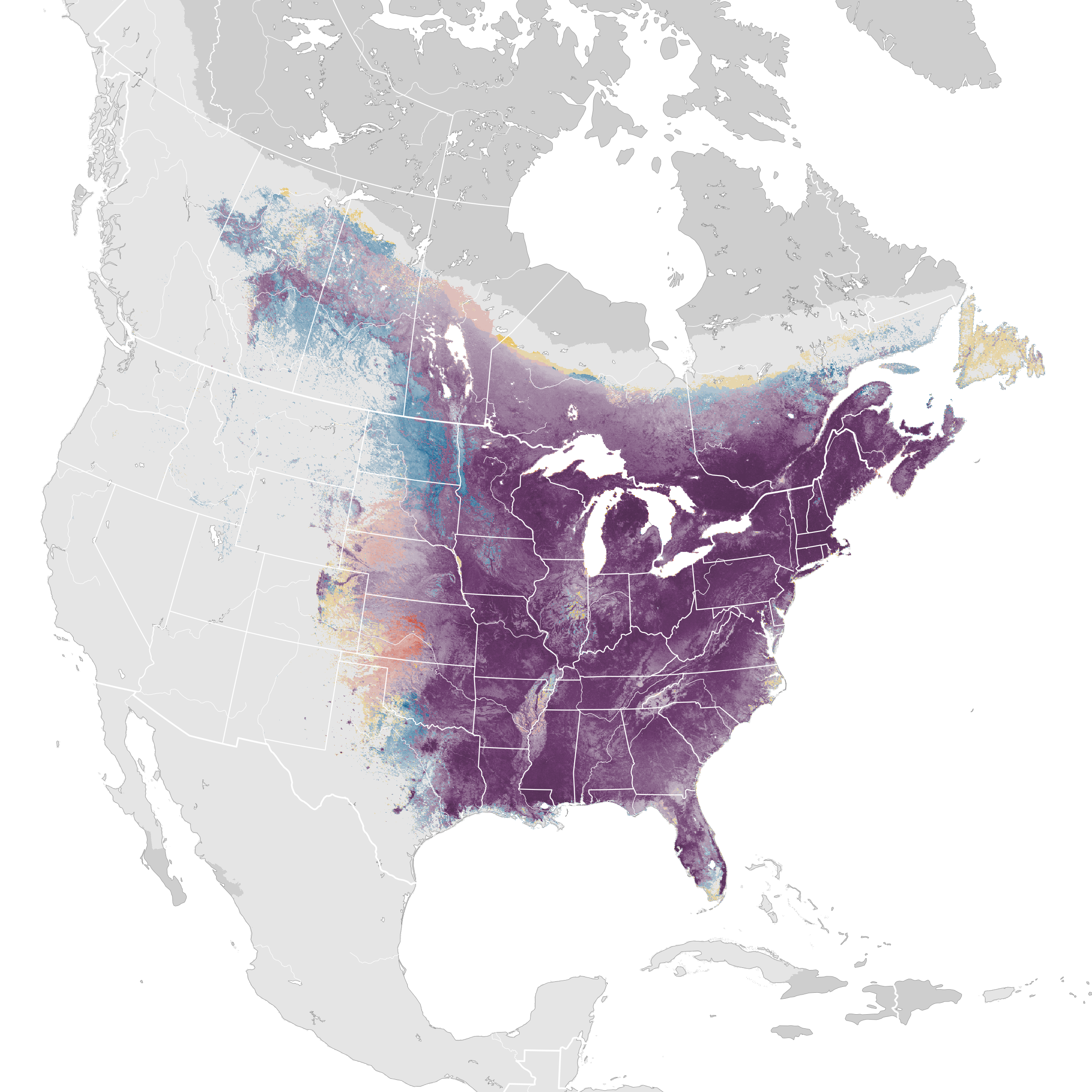 Where Do Blue Jays Live? (Habitat + Distribution)