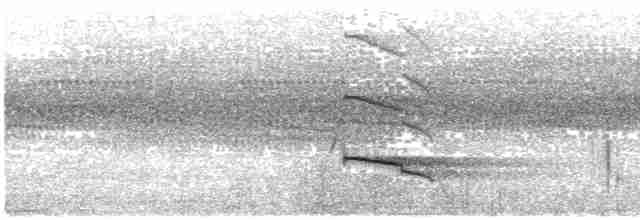 Орел-карлик індійський - ML497683091
