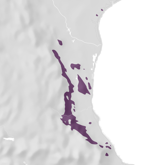 Mapa rozšíření