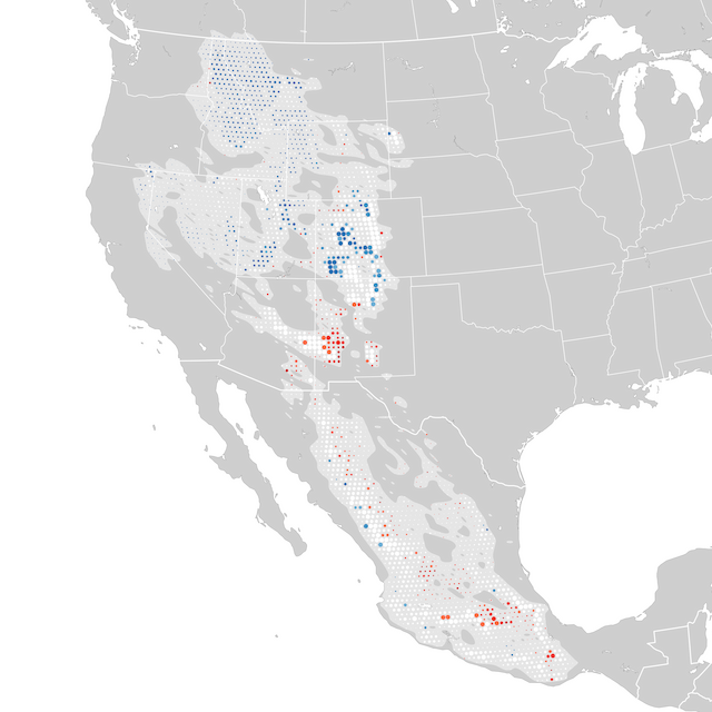 Mapa de Tendências