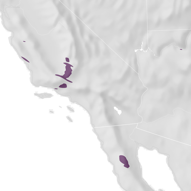 Mapa de distribuição