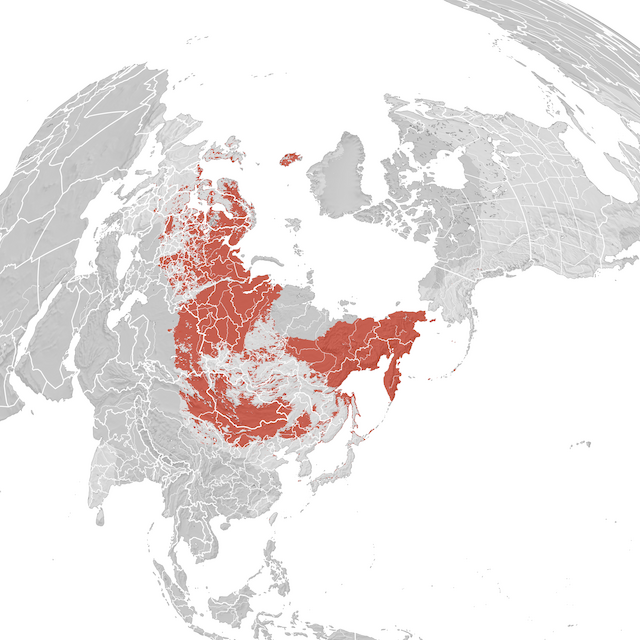 Carte de distribution