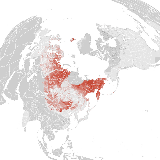 Abundance Map