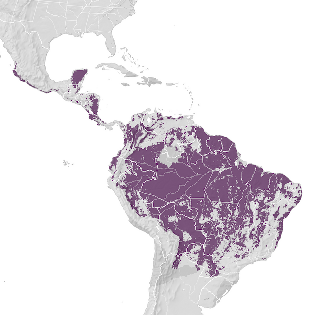 Mapa de Distribuição