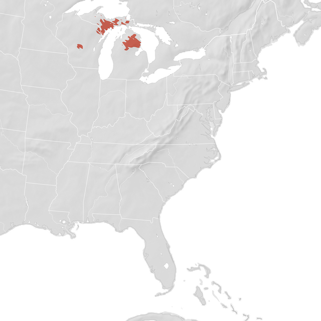 Mappa di distribuzione