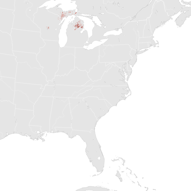 Mapa de Abundância