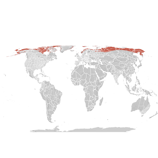 Carte de distribution