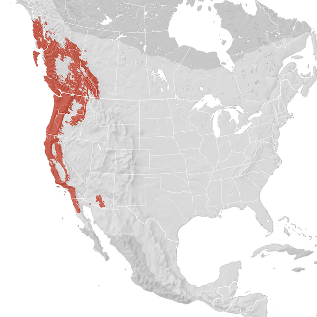 Range Map