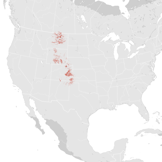 Abundance Map