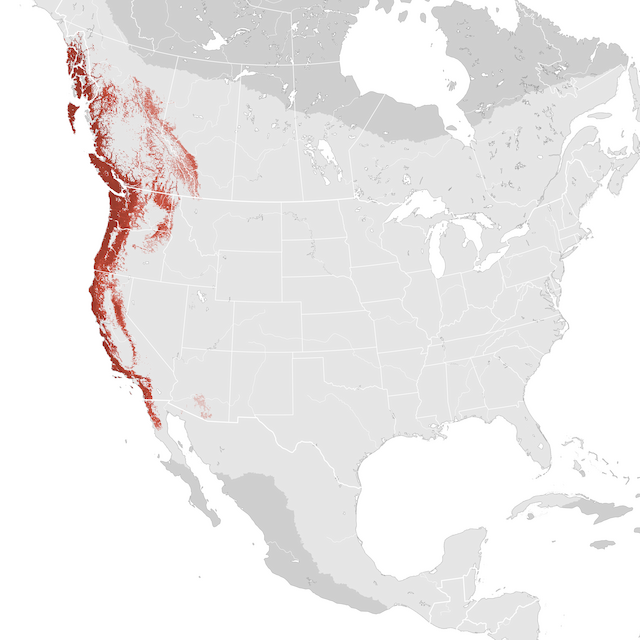 Mapa de abundancia