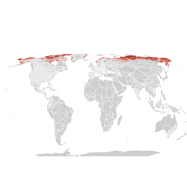 Abundance Map