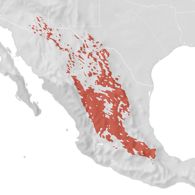 Mapa de Distribuição