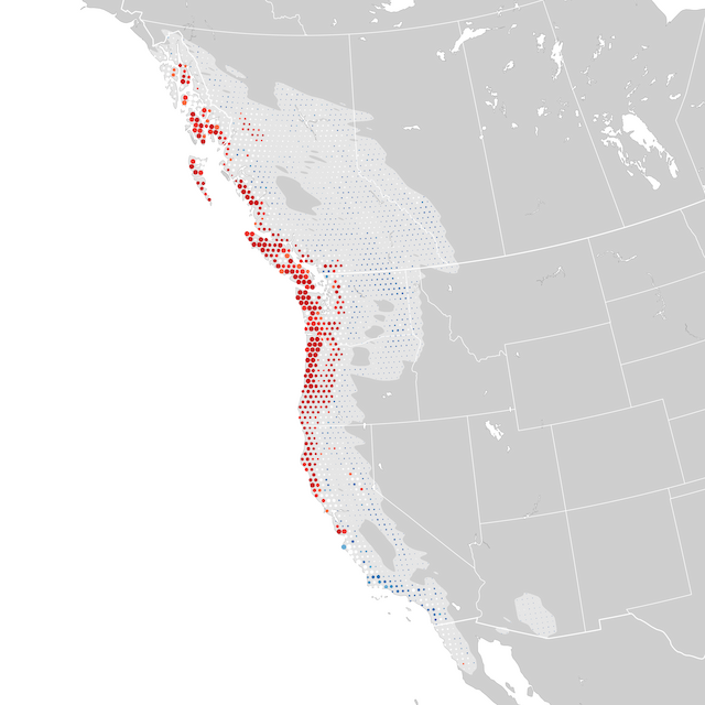 Mapa de Tendências