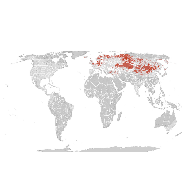 Carte de distribution