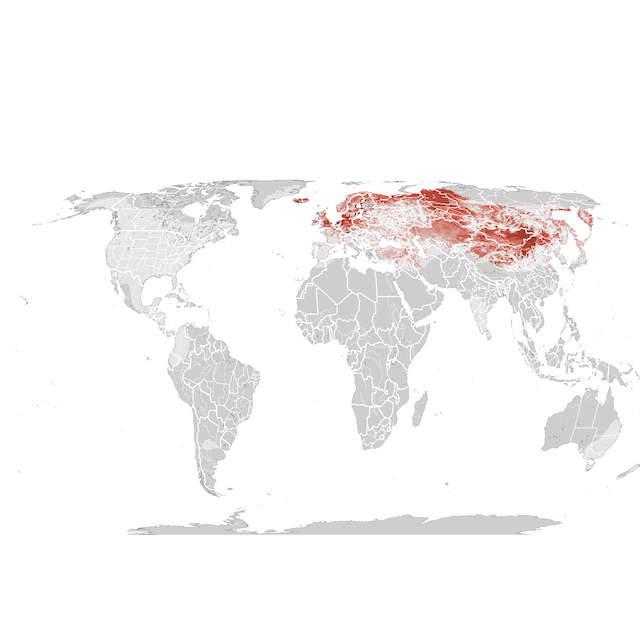 Abundance Map