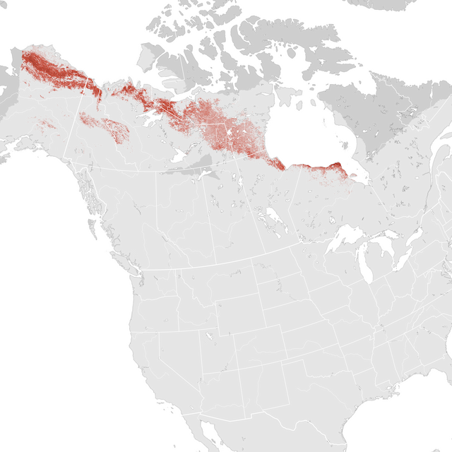 Mapa de abundancia