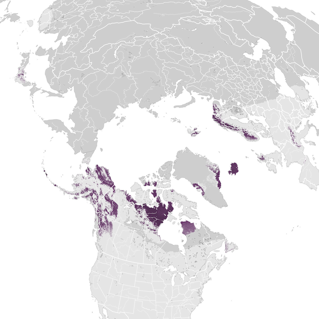 Abundance Map