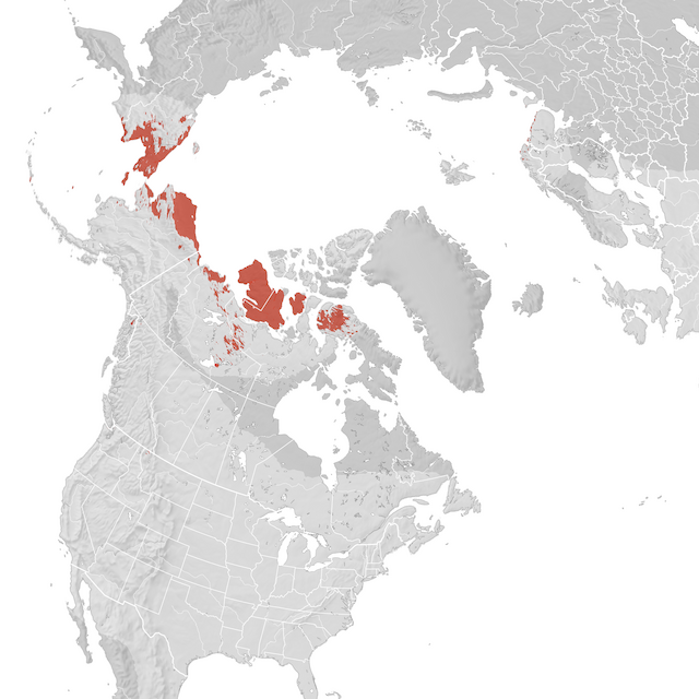 Carte de distribution